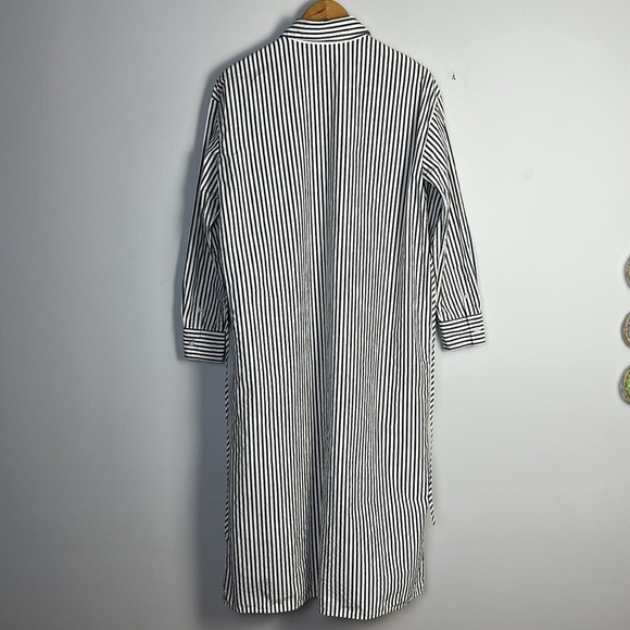 Everlane Supima Cotton Midi Collared Shirt Dress Size Medium Relaxed Fit Pockets - Picture 10 of 16